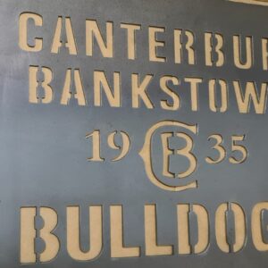 Canterbury Bulldogs Sign Small